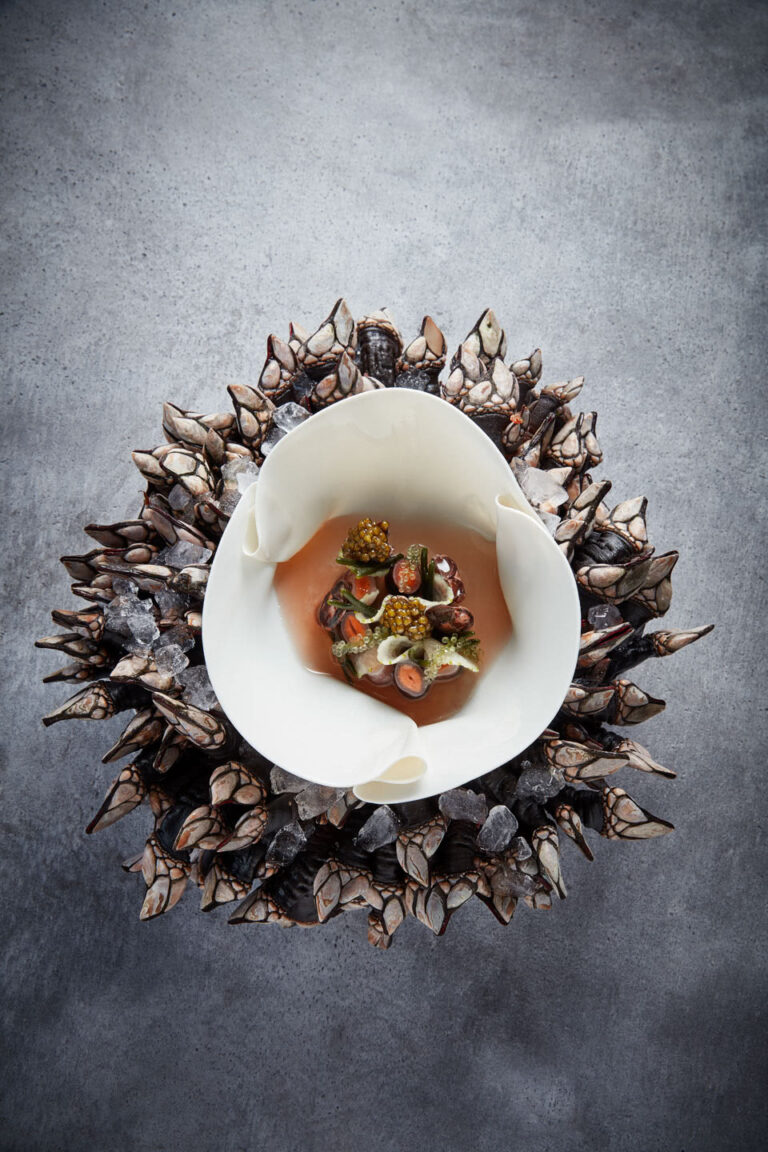 Die Weltköche zu Gast im Ikarus (Band 4, 2017)