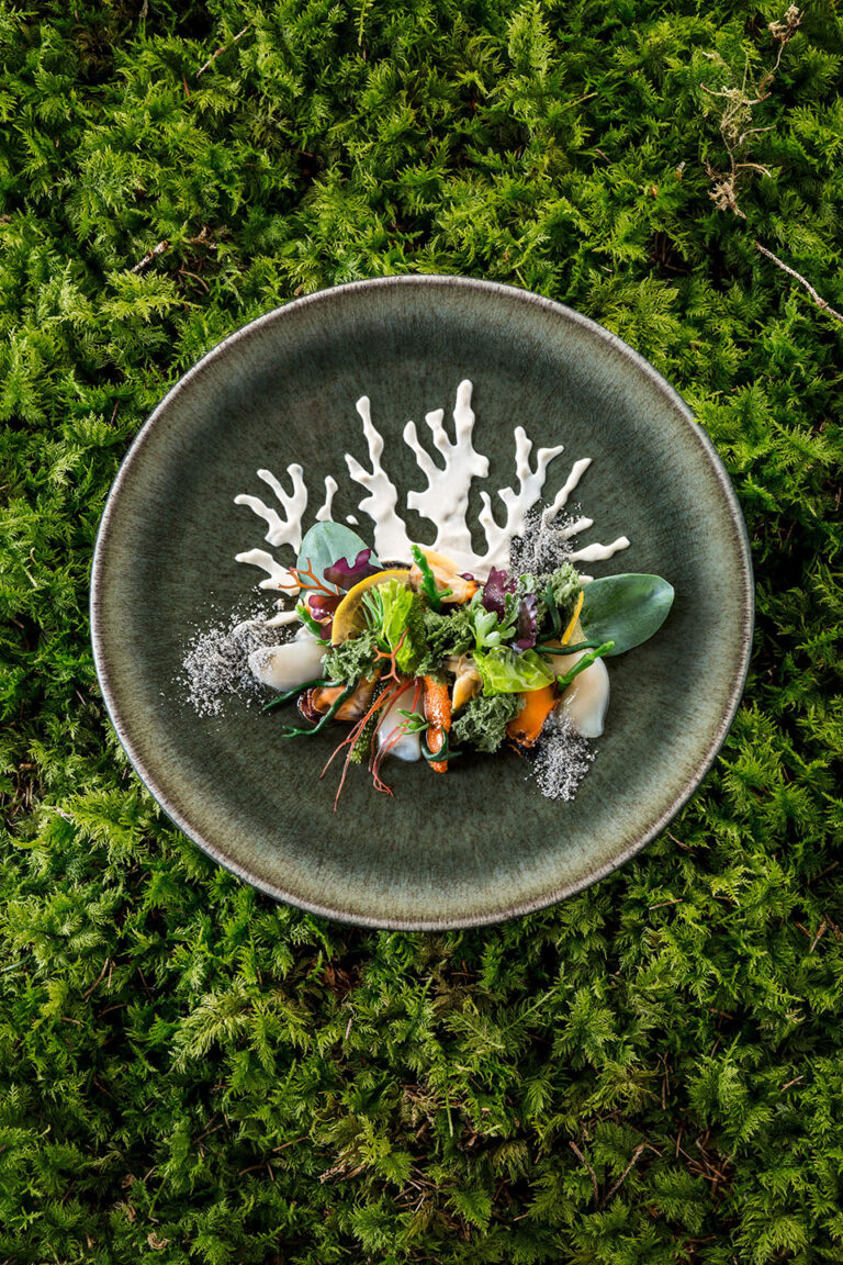 Die Weltköche zu Gast im Ikarus (Band 1, 2014)