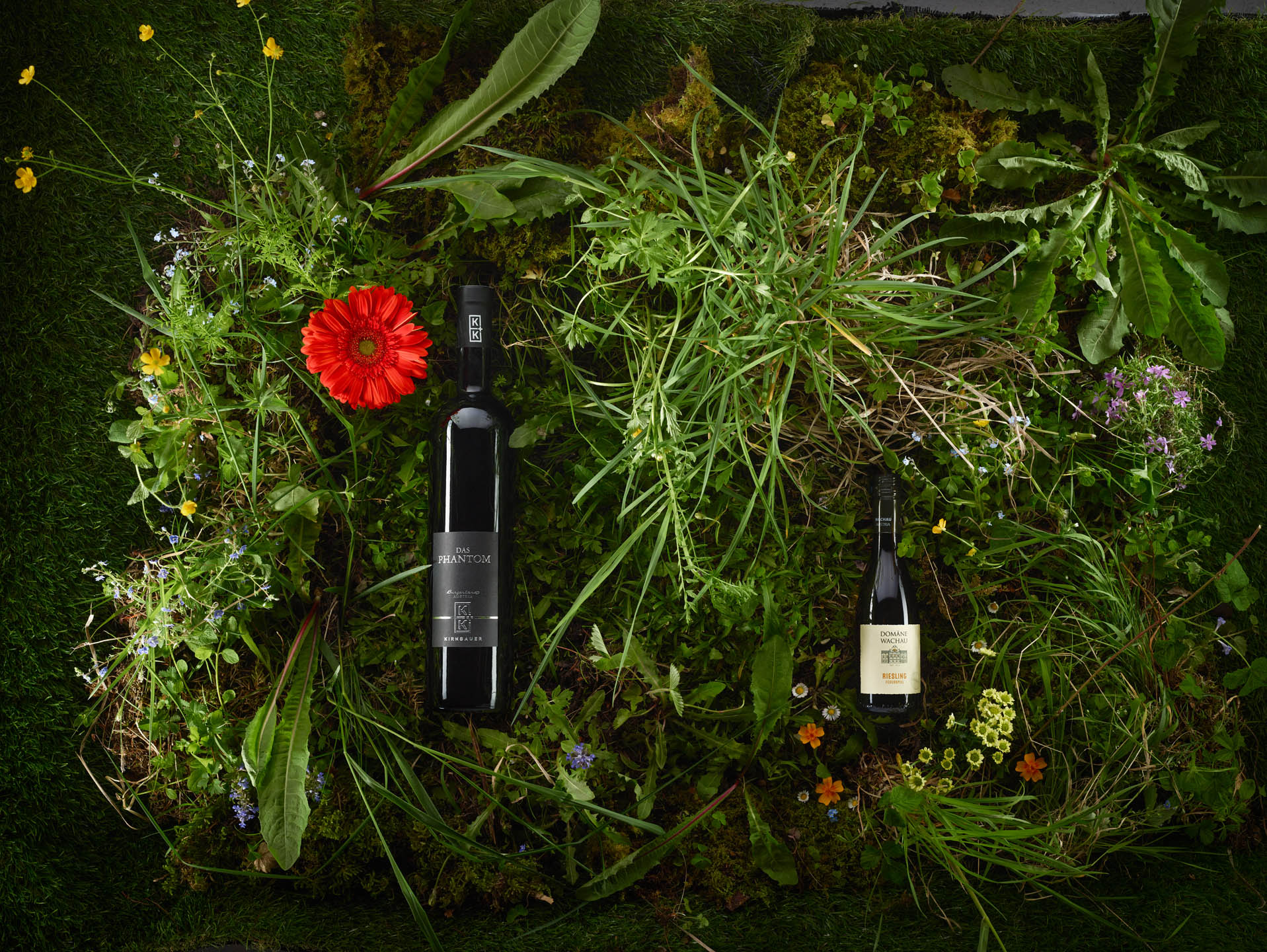 Weinflaschen im Gras und Moos