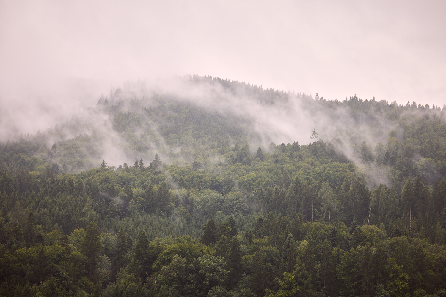 Mode von Susanne Spatt fotgrafiert in Edinburg